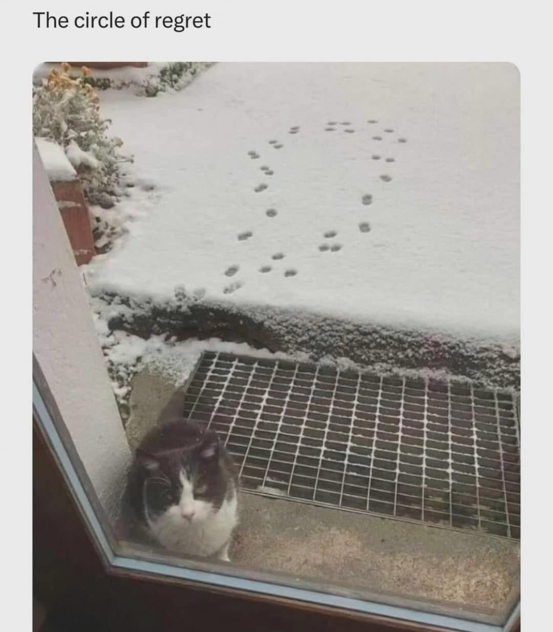 meme collection, meme compilation, meme roundup, humorous memes, amusing memes, comical memes, Best memes, top memes, greatest memes, popular memes, laugh-out-loud memes, side-splitting memes, uproarious memes