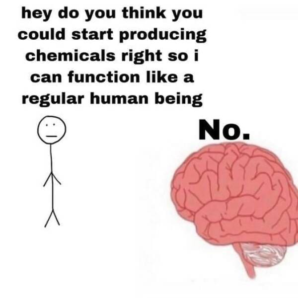 meme dump, funny memes, hilarious memes, meme collection, meme compilation, meme roundup, humorous memes, amusing memes, comical memes, laugh-out-loud memes, side-splitting memes, uproarious memes, humorous images, amusing photos, funny pics, funny pictures