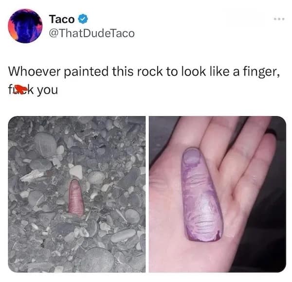 Taco © @ThatDudeTaco Whoever painted this rock to look like a finger, fuck you