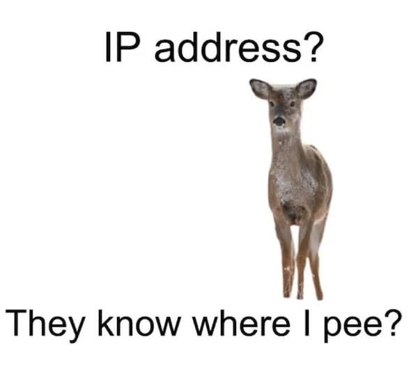IP address? They know where I pee?