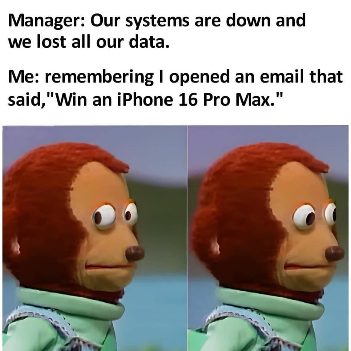 meme dump, funny memes, hilarious memes, meme collection, meme roundup, meme assortment, humorous pics, witty images, amusing visuals, uproarious images, laugh-worthy clips, side-splitting humor, online gags, digital jokes, web-based satire