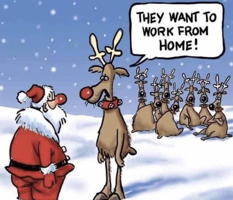 THEY WANT TO WORK FROM НОМЕ!