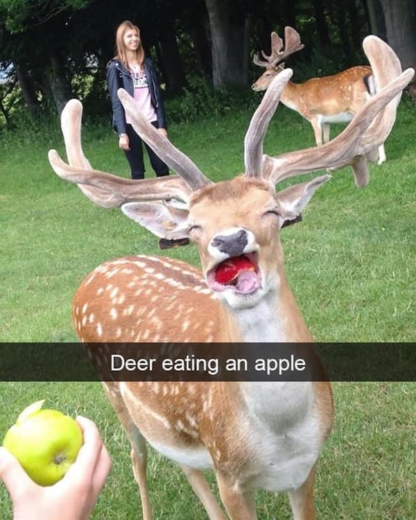 motivational memes, inspirational memes, uplifting memes, encouraging memes, motivation memes