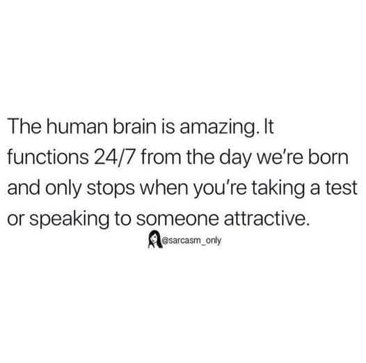 The human brain is amazing. It functions 24/7 from the day we're born and only stops when you're taking a test or speaking to someone attractive.