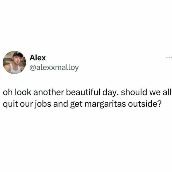 savage memes, Brutal Memes, Roasting Humor, Savage Internet Culture