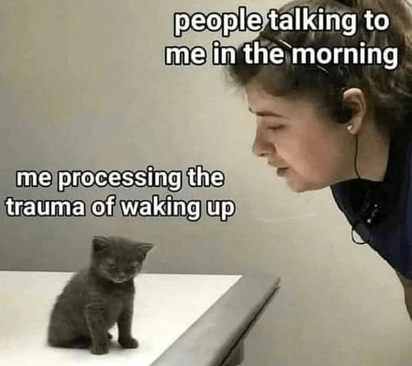 people talking to me in the morning me processing the trauma of waking up