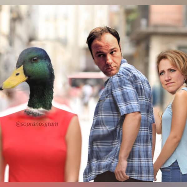 Sopranos memes, The Sopranos memes, Tony Soprano memes, Sopranos funny memes, mobster memes, gangster memes, crime show memes