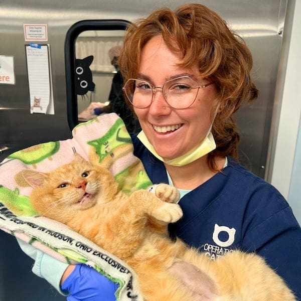 stoned animals, under-the-influence pets, dazed critters, drugged animals, loopy pets: woozy companions, spaced-out furballs, unsteady animals, silly animals, goofy creatures, comedic critters, playful beasts, sedation antics, treatment-induced hilarity, post-vet sedation