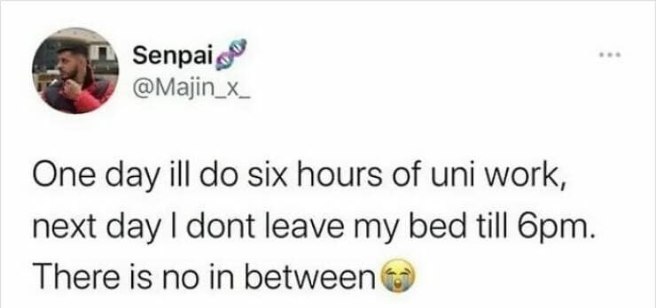 student memes, college memes, learner memes, pupil memes, scholar memes, university memes, campus memes, higher ed memes, school memes, classroom memes, education memes, studying memes, student life humor, academic humor, college humor, campus humor