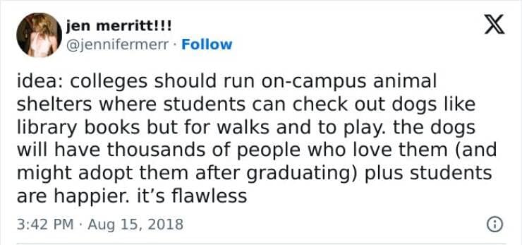 student memes, college memes, learner memes, pupil memes, scholar memes, university memes, campus memes, higher ed memes, school memes, classroom memes, education memes, studying memes, student life humor, academic humor, college humor, campus humor