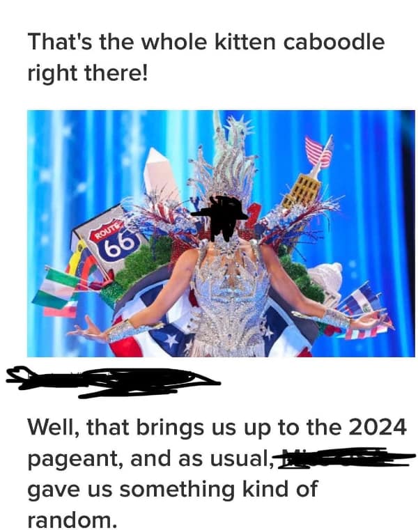 That's the whole kitten caboodle right there!