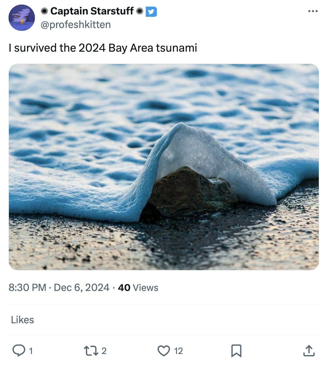 tsunami memes, earthquake alert memes, tsunami threat memes, seismic activity, bay area tsunami