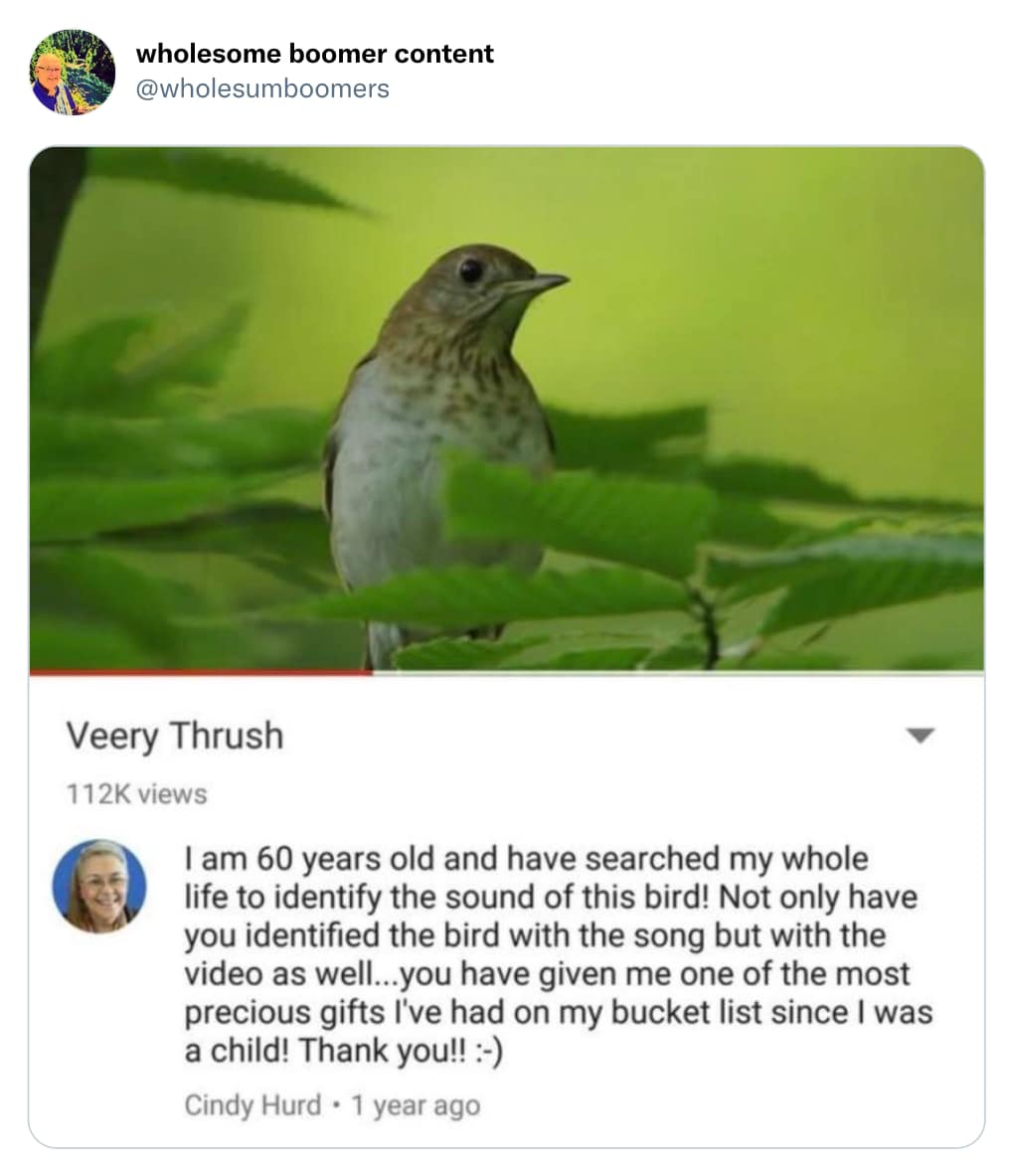 I am 60 years old and have searched my whole life to identify the sound of this bird! Not only have you identified the bird with the song but with the video as well...you have given me one of the most precious gifts I've had on my bucket list since I was a child! Thank you!! :-)