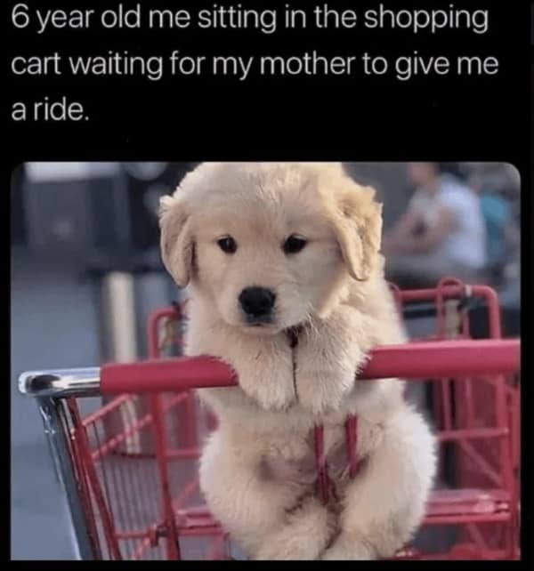 wholesome memes, heartwarming memes, uplifting memes, positive memes, encouraging memes, inspirational memes, positivity memes, positive vibes, uplifting vibes, good energy