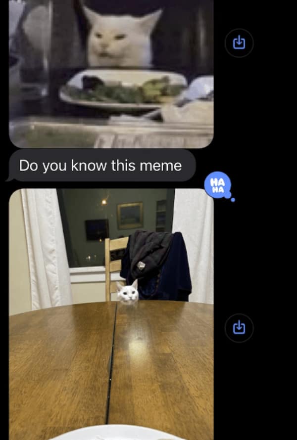 wholesome memes, heartwarming memes, uplifting memes, positive memes, encouraging memes, inspirational memes, positivity memes, positive vibes, uplifting vibes, good energy