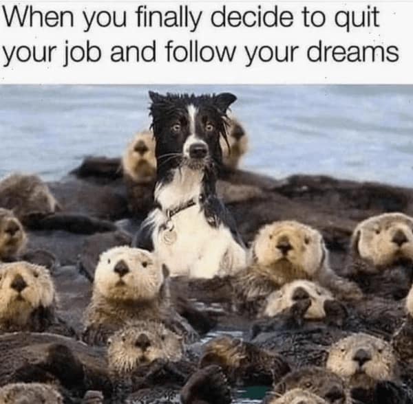 wholesome memes, heartwarming memes, uplifting memes, positive memes, encouraging memes, inspirational memes, positivity memes, positive vibes, uplifting vibes, good energy