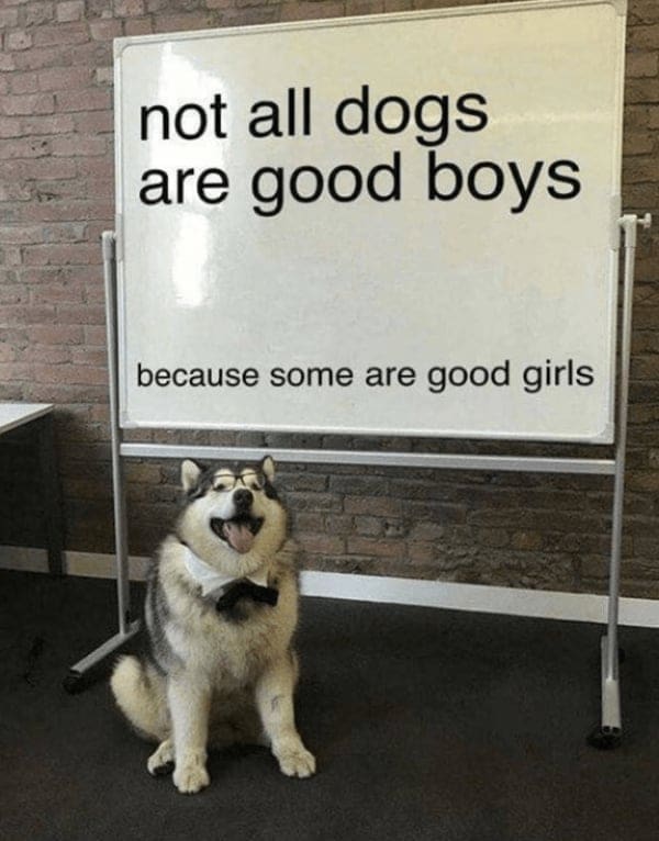 wholesome memes, heartwarming memes, uplifting memes, positive memes, feel-good memes, tender memes, kind memes, warm memes, gentle memes, encouraging memes, morale-boosting memes, hopeful memes, confidence memes, bright-side memes, affirming memes