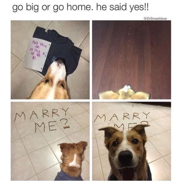 wholesome memes, heartwarming memes, uplifting memes, positive memes, encouraging memes, inspirational memes, positivity memes, positive vibes, uplifting vibes, good energy