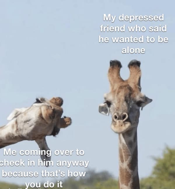 wholesome memes, uplifting memes, heartwarming memes, feel-good memes, touching pictures, heartening photos, positive memes, happy memes, inspiring memes, motivational memes