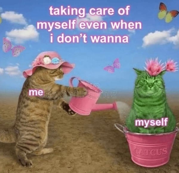 wholesome memes, heartwarming memes, uplifting memes, positive memes, feel-good memes, tender memes, kind memes, warm memes, gentle memes, encouraging memes, morale-boosting memes, hopeful memes, confidence memes, bright-side memes, affirming memes