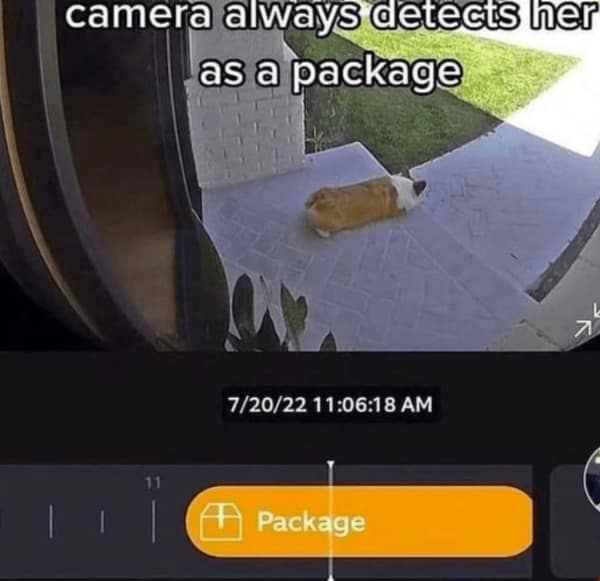 wholesome memes, heartwarming memes, uplifting memes, positive memes, encouraging memes, inspirational memes, positivity memes, positive vibes, uplifting vibes, good energy