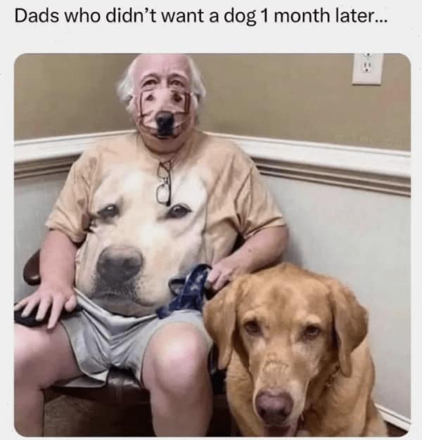 wholesome memes, heartwarming memes, uplifting memes, positive memes, encouraging memes, inspirational memes, positivity memes, positive vibes, uplifting vibes, good energy