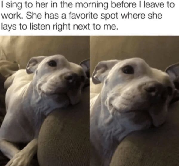 wholesome memes, heartwarming memes, uplifting memes, positive memes, feel-good memes, tender memes, kind memes, warm memes, gentle memes, encouraging memes, morale-boosting memes, hopeful memes, confidence memes, bright-side memes, affirming memes