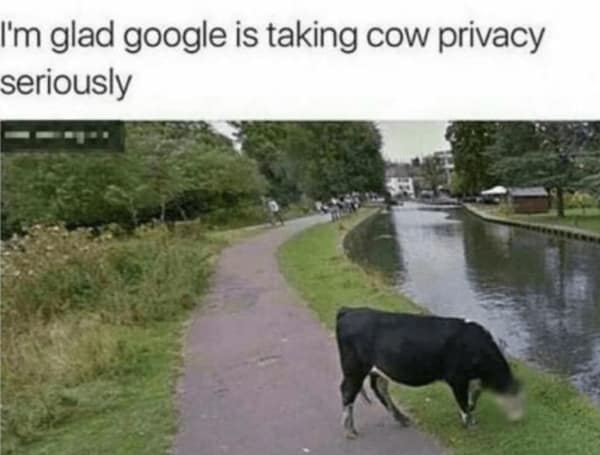 wholesome memes, uplifting memes, heartwarming memes, feel-good memes, touching pictures, heartening photos, positive memes, happy memes, inspiring memes, motivational memes