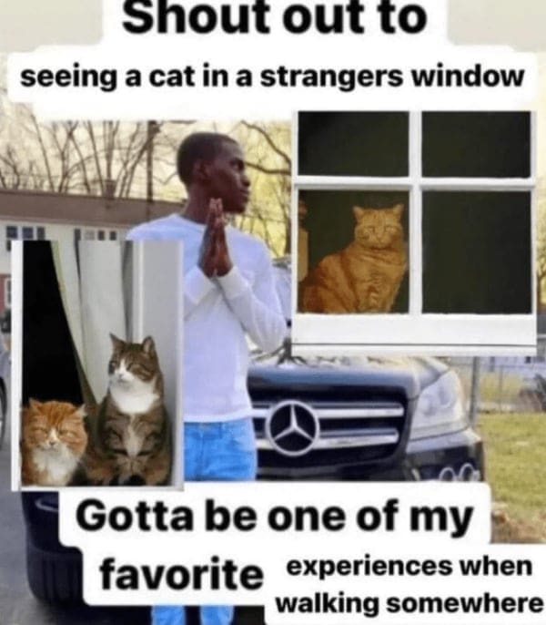 wholesome memes, heartwarming memes, uplifting memes, positive memes, feel-good memes, tender memes, kind memes, warm memes, gentle memes, encouraging memes, morale-boosting memes, hopeful memes, confidence memes, bright-side memes, affirming memes