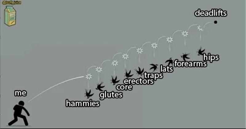 workout memes, gym memes, exercise memes, exercise humor images, fitness joke posts, training meme collection, body-shape humor, healthy living wit, wellness joke visuals, lifting funnies, treadmill snark, weightroom banter, cardio gags, stretching irony, squat rack commentary