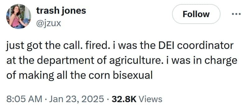 DEI Coordinator memes, just got the call. fired memes, DEI memes, diversity memes, inclusion humor, equity jokes, political satire memes, government humor, political jokes, executive order memes, Trump executive orders, Trump policy changes, presidential directives, White House decisions