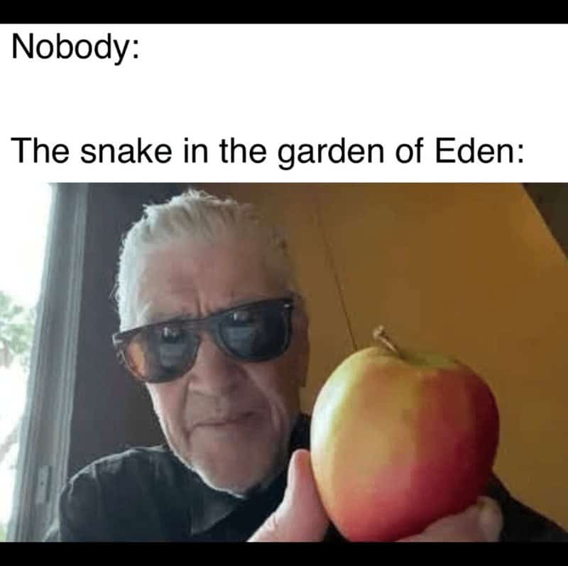 david lynch memes, david lynch, David Lynch tributes, David Lynch homage, David Lynch remembrance, David Lynch fan memorials, Surreal film memes, weird movie memes, bizarre cinema memes, surreal cinematic humor, Cult director memes, iconic filmmaker memes, arthouse director memes, legendary auteur memes