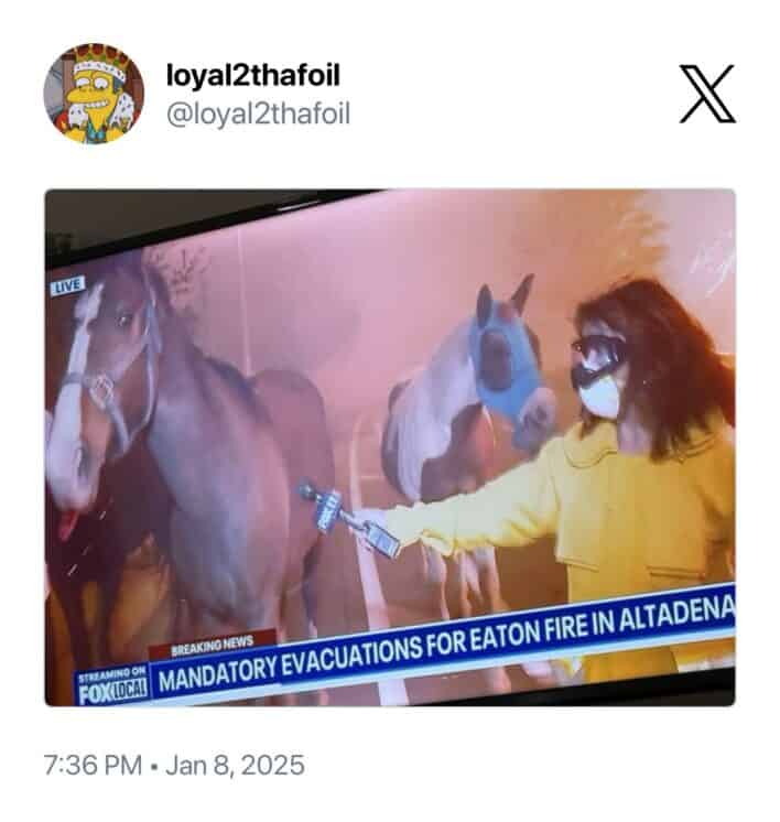 LA wildfire tweets, LA fires: Los Angeles blaze news, SoCal inferno, LA burn updates