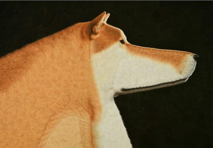 lola dupre, surreal collage, warped painting, bizarre art, animal paintings, creature-based art, fauna portraits, pet canvases, distorted portraits warped visuals, twisted figure art, reconfigured faces