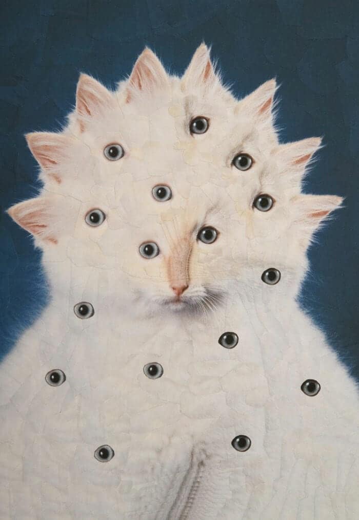 lola dupre, surreal collage, warped painting, bizarre art, animal paintings, creature-based art, fauna portraits, pet canvases, distorted portraits warped visuals, twisted figure art, reconfigured faces