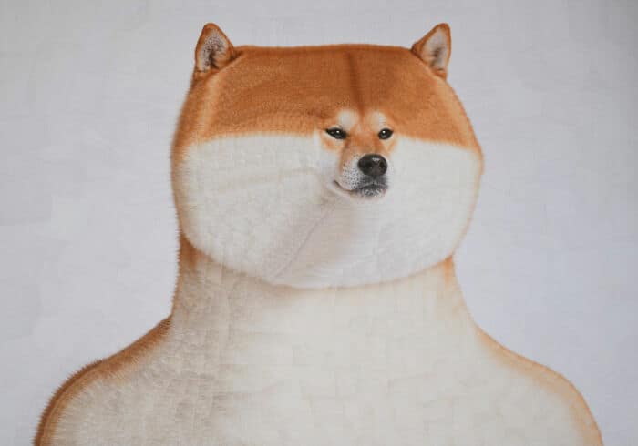 lola dupre, surreal collage, warped painting, bizarre art, animal paintings, creature-based art, fauna portraits, pet canvases, distorted portraits warped visuals, twisted figure art, reconfigured faces