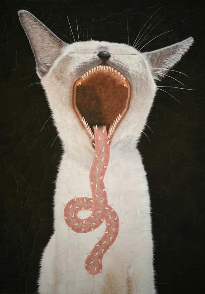 lola dupre, surreal collage, warped painting, bizarre art, animal paintings, creature-based art, fauna portraits, pet canvases, distorted portraits warped visuals, twisted figure art, reconfigured faces