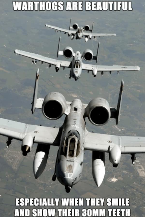 a10 warthog meme, a10 warthog memes, Warthog comedic bits, A-10 aircraft humor, close air support jokes, plane memes, aviation comedic references, airborne sarcasm, flight-based illusions, military humor, armed forces comedic twist, defense-themed jokes, war machine banter, fighter jet jokes, supersonic comedic lines, jet-based illusions, pilot net humor