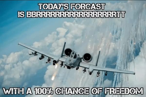 a10 warthog meme, a10 warthog memes, Warthog comedic bits, A-10 aircraft humor, close air support jokes, plane memes, aviation comedic references, airborne sarcasm, flight-based illusions, military humor, armed forces comedic twist, defense-themed jokes, war machine banter, fighter jet jokes, supersonic comedic lines, jet-based illusions, pilot net humor