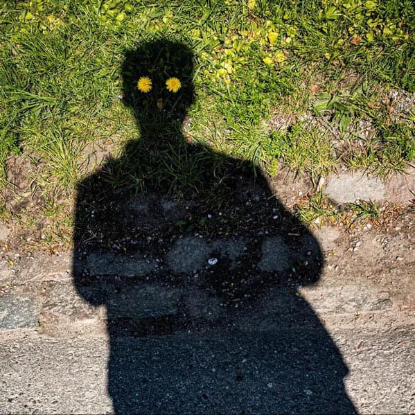 accidental album covers, accidental photo album, spontaneous record cover, random band cover