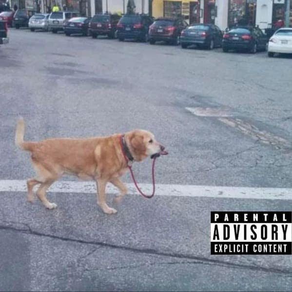 accidental album covers, accidental photo album, spontaneous record cover, random band cover