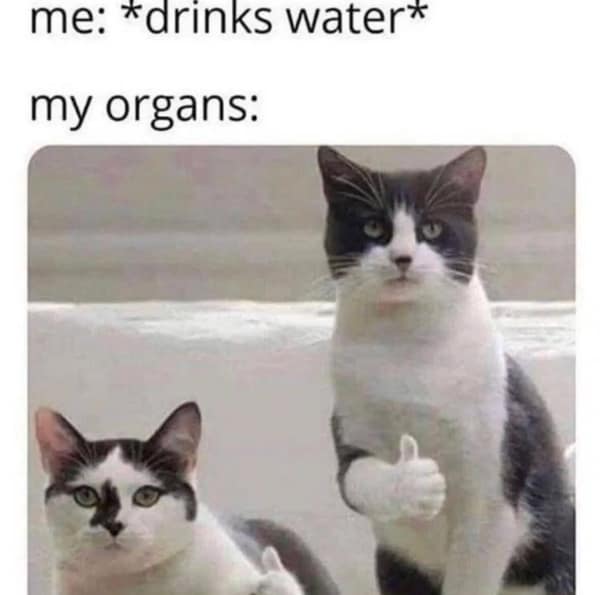 adulting memes, adulthood memes, adult memes, growing up memes, Funny aging memes, age humor memes, Life struggle memes, daily life memes, responsibility memes, Relatable memes, life humor,