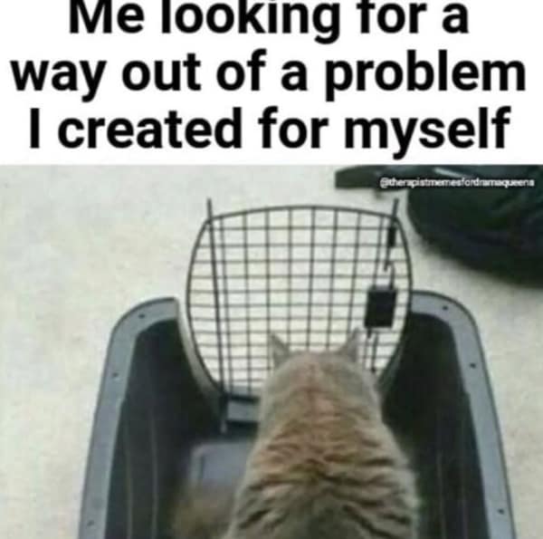 adulting memes, adulthood memes, adult memes, growing up memes, Funny aging memes, age humor memes, Life struggle memes, daily life memes, responsibility memes, Relatable memes, life humor,