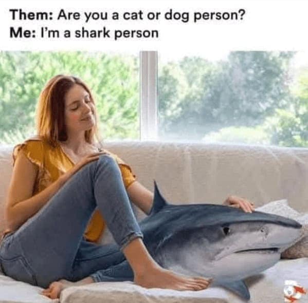 animal memes, pet memes, funny animal pictures, hilarious pet moments, animal jokes, pet humor, funny animal memes