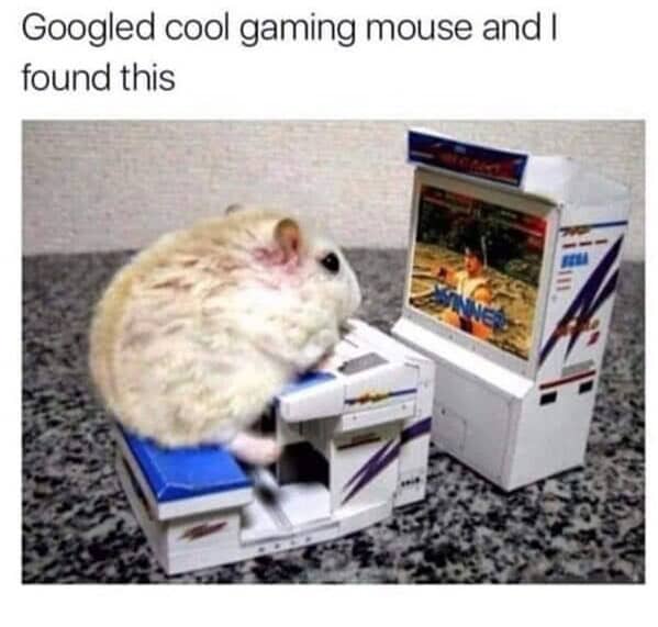 animal memes, pet memes, funny animal pictures, hilarious pet moments, animal jokes, pet humor, funny animal memes