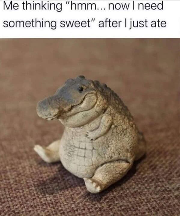 animal memes, pet memes, funny animal pictures, hilarious pet moments, animal jokes, pet humor, funny animal memes