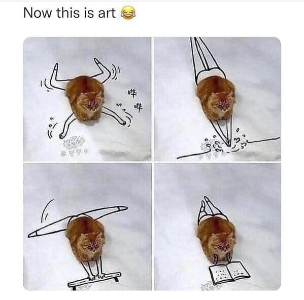 animal memes, pet memes, funny animal pictures, hilarious pet moments, animal jokes, pet humor, funny animal memes