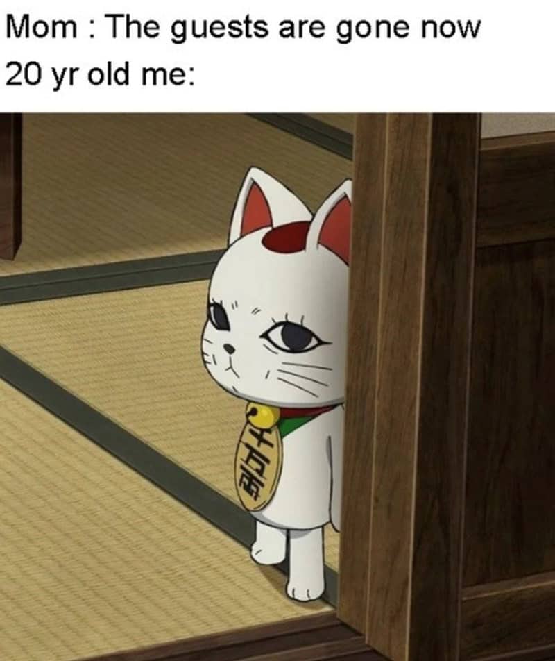 anime memes, otaku humor, weeb jokes, anime jokes, shonen memes, slice-of-life memes, anime parodies, battle anime humor, daily life jokes, cartoon spoofs