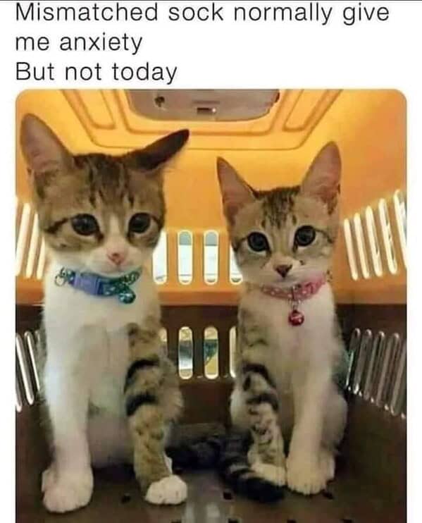 Mismatched sock normally give me anxiety But not today