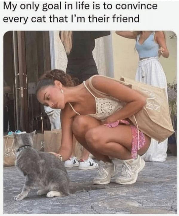 My only goal in life is to convince every cat that I'm their friend